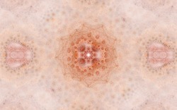 2014 04 30 Webs and Things 59-white.jpg